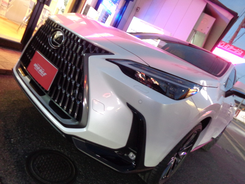 LEXUS　NX250